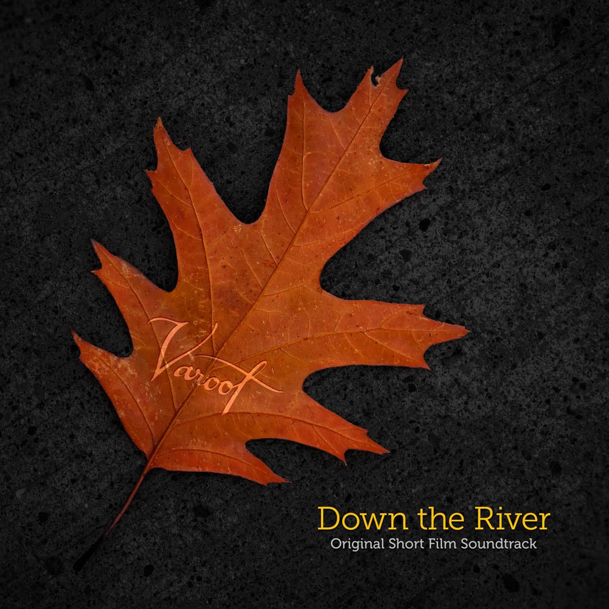 Cover for Down the River