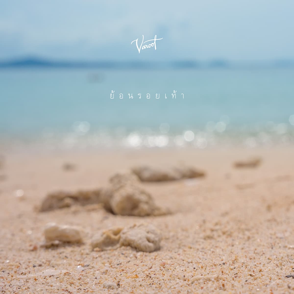 Cover for ย้อนรอยเท้า